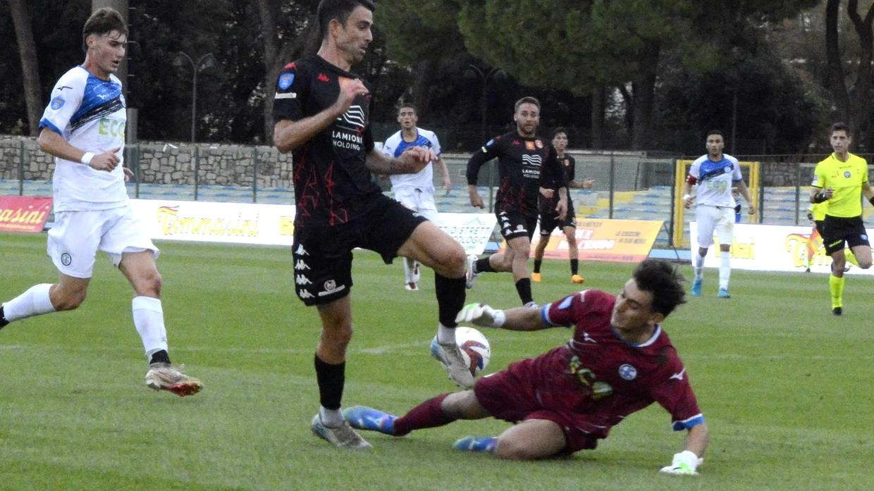 Oggi in terra umbra la partita di ritorno tra Grosseto e Fulgens Foligno Oggi in terra umbra la partita di ritorno tra Grosseto e Fulgens Foligno