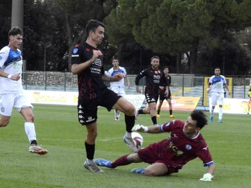 immagine articolo