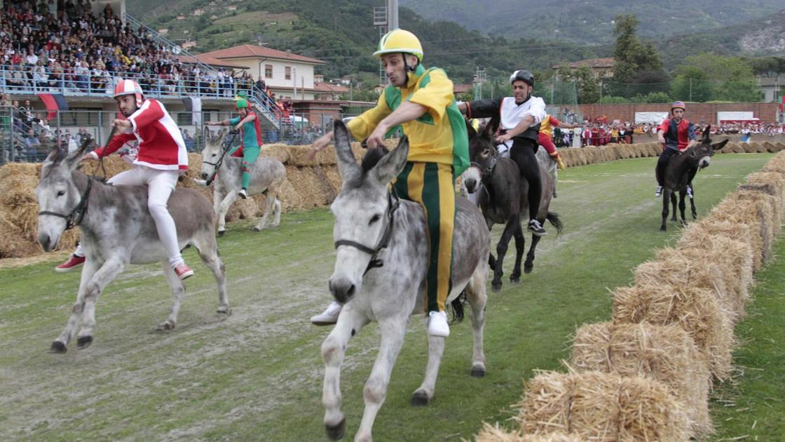 L’attesa sta per finire. Domani il Palio dei Micci L’attesa sta per finire. Domani il Palio dei Micci