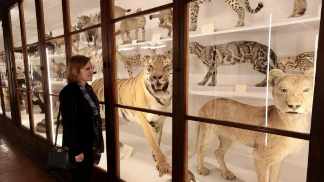 Museo di Storia Naturale