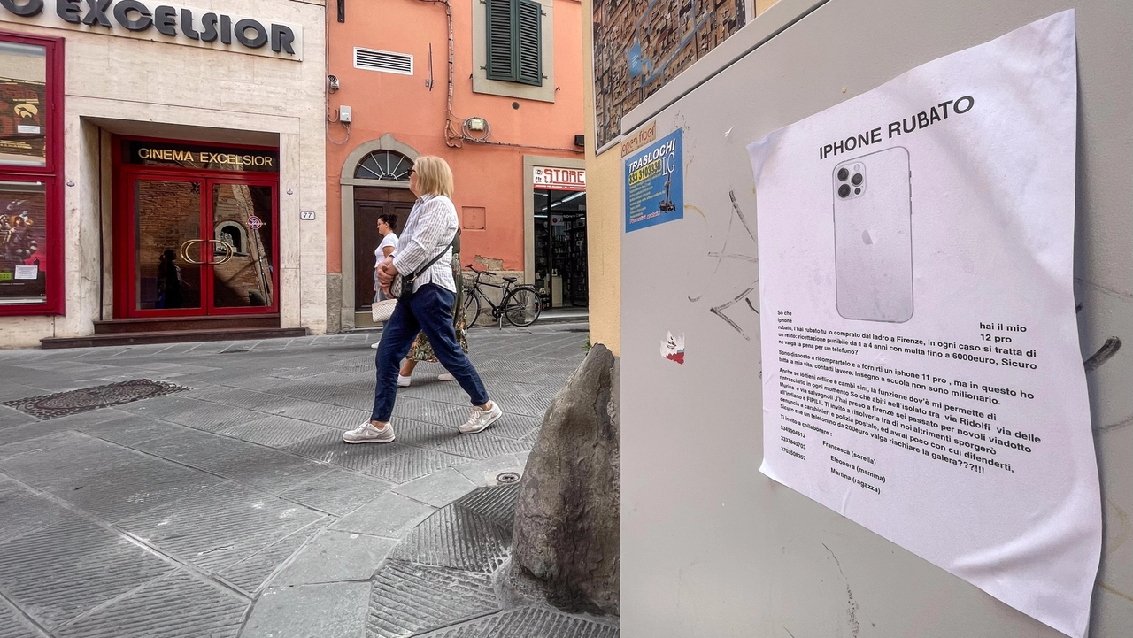 Uno dei tanti volantini affissi dall’insegnante nelle strade del centro Uno dei tanti volantini affissi dall’insegnante nelle strade del centro