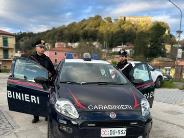 immagine articolo