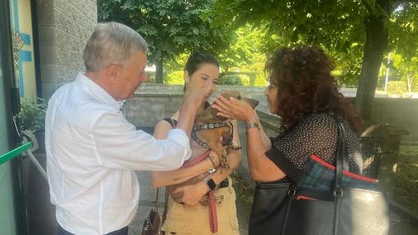 Ofelia torna in famiglia. Il sindaco: "Commossi e grati", ma ci sono altri 120 cani che cercano una casa Ofelia torna in famiglia. Il sindaco: "Commossi e grati", ma ci sono altri 120 cani che cercano una casa