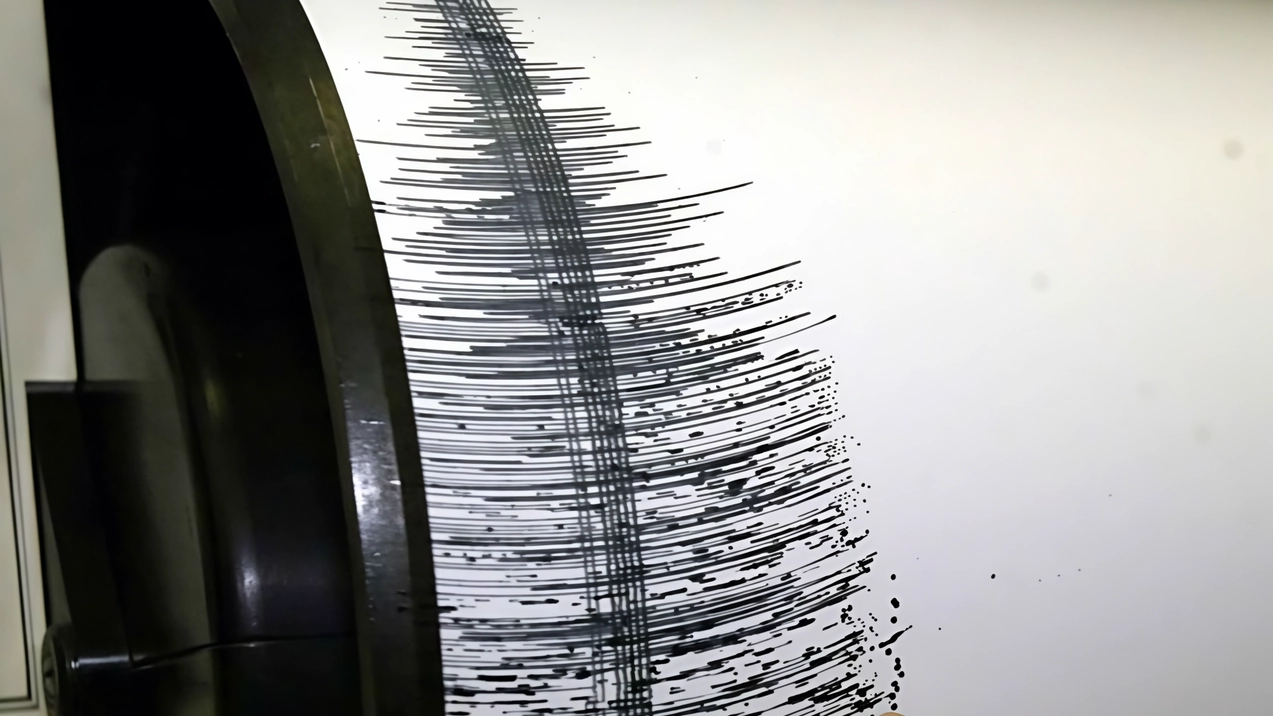 La terra torna di nuovo a tremare e come al solito impaurisce grandi e piccini impegnati nelle loro attività che... La terra torna di nuovo a tremare e come al solito impaurisce grandi e piccini impegnati nelle loro attività che...