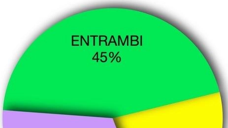 Il grafico sulle appartenenze