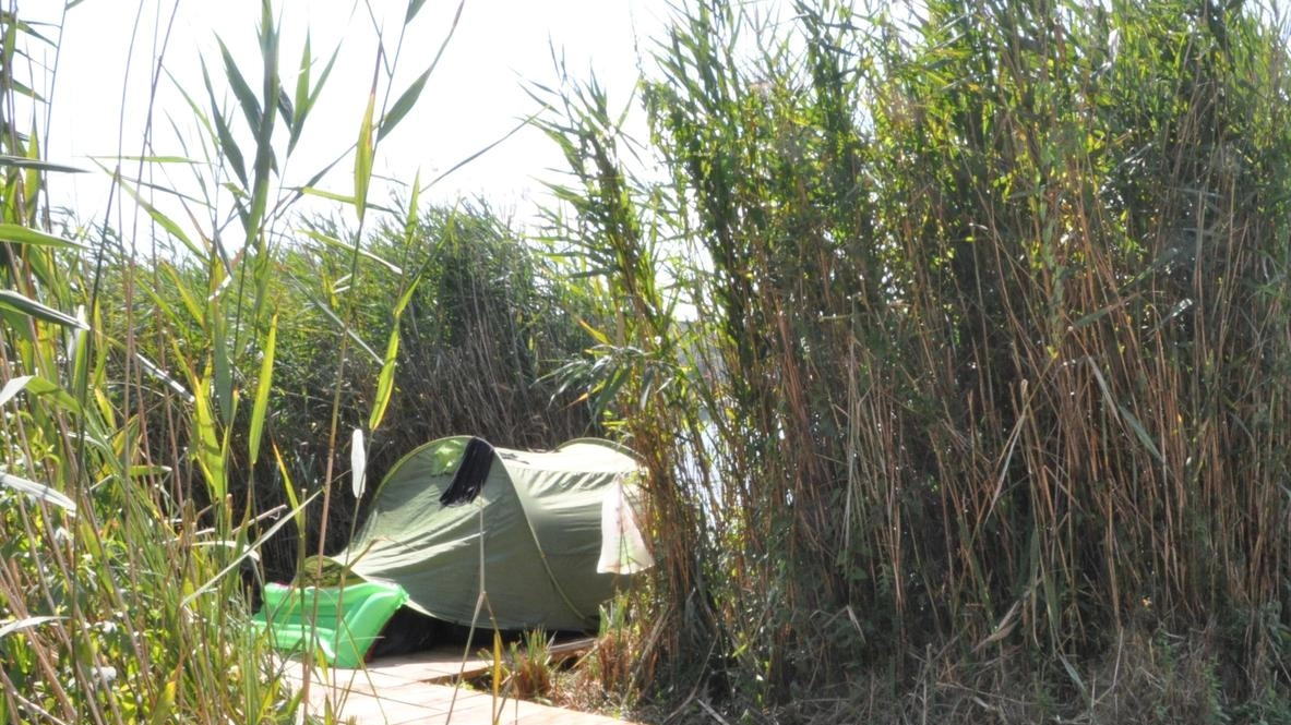 Piccole tende e sdraio prendisole nelle pedane sulle sponde del lago dell’Accesa nella giornata di domenica