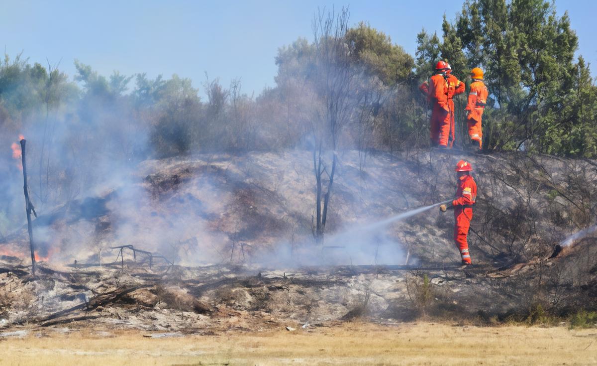 La Querciola ferita dalle fiamme: "Vogliamo sapere chi è stato" La Querciola ferita dalle fiamme: "Vogliamo sapere chi è stato"
