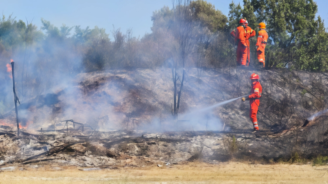 L’incendio divampato domenica nel parco della Piana, con conseguenze per un ettaro e mezzo di superficie L’incendio divampato domenica nel parco della Piana, con conseguenze per un ettaro e mezzo di superficie