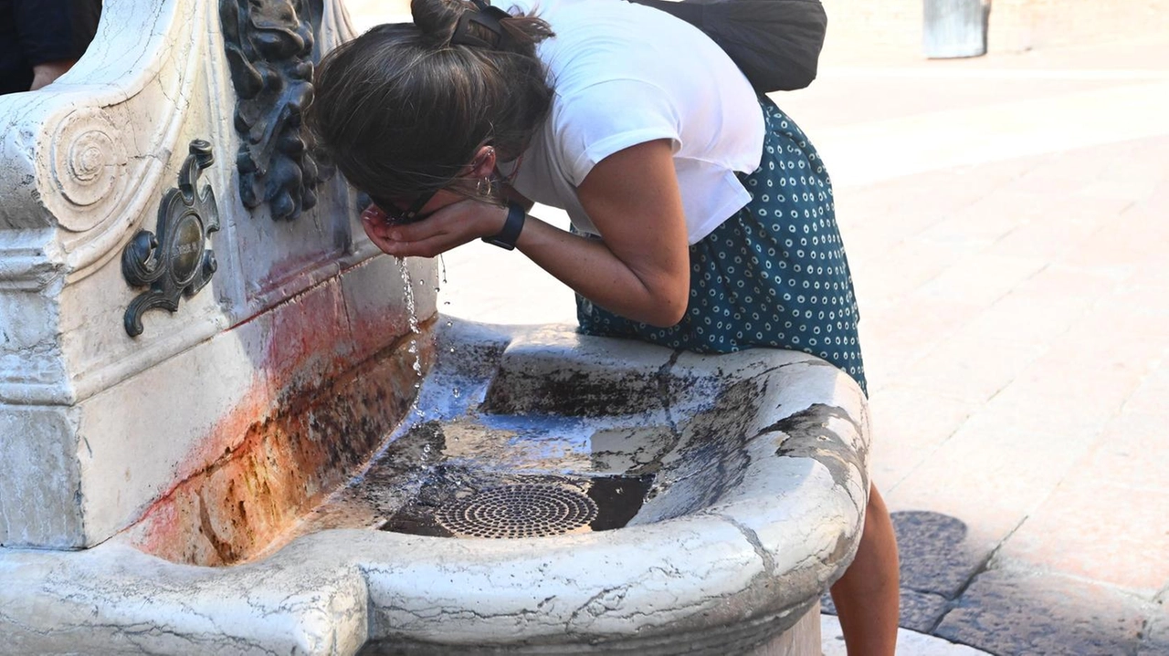 Si cerca refrigerio dove è possibile (Foto di repertorio)