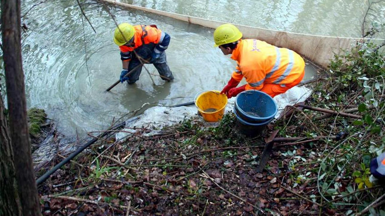 Nella foto d’archivio, tecnici di Arpat durante un sopralluogo in un torrente Capecchi prende posizione sulla mancanza di investimenti Nella foto d’archivio, tecnici di Arpat durante un sopralluogo in un torrente Capecchi prende posizione sulla mancanza di investimenti