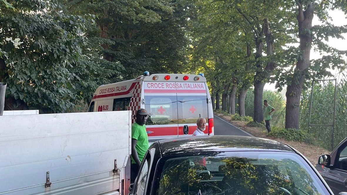 Incidente stradale lungo la via Sarzanese a Massarosa: scontro tra furgone, ape e Smart. Conducente della Smart trasportata in ospedale per accertamenti, fortunatamente in codice verde. Incidente stradale lungo la via Sarzanese a Massarosa: scontro tra furgone, ape e Smart. Conducente della Smart trasportata in ospedale per accertamenti, fortunatamente in codice verde.