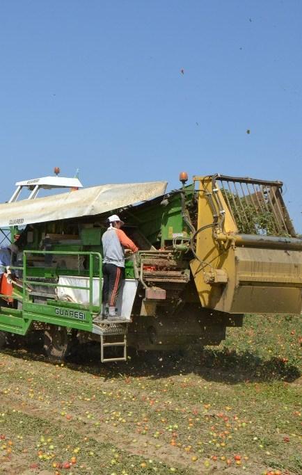Altri 5,5 milioni per i giovani agricoltori