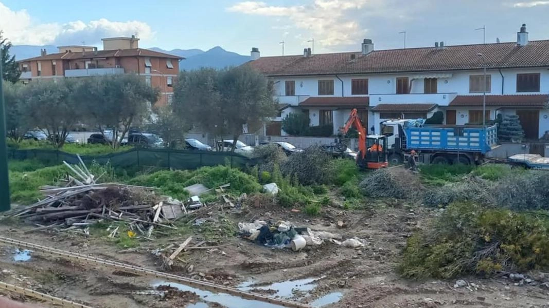 L’immagine delle piante tagliate nella zona di via Monterotondo di Riglione, segnalata dai comitati