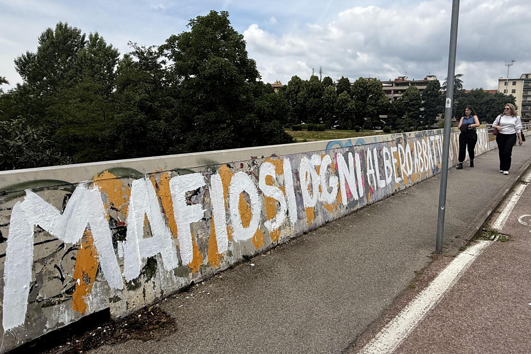 scudo verde prorogabis multe solo da inizio luglio politica divisa sulla scelta da Lanazione.it scudo verde prorogabis multe solo da inizio luglio politica divisa sulla scelta