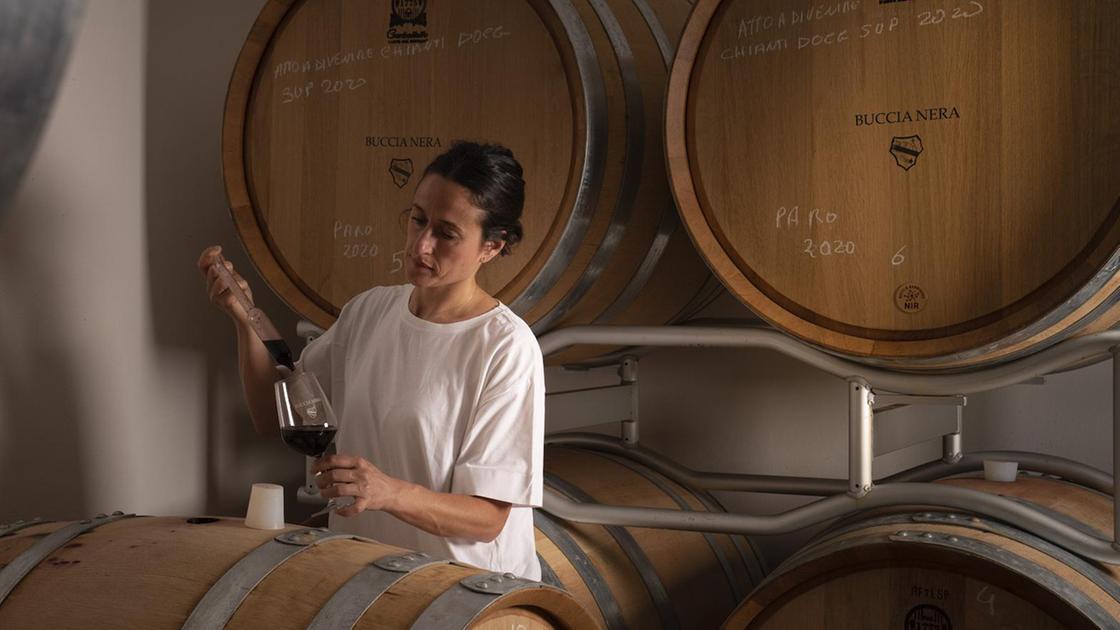 Torna ’Cantine Aperte’. Brindisi e degustazioni nelle aziende del Senese Torna ’Cantine Aperte’. Brindisi e degustazioni nelle aziende del Senese