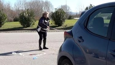 E’ ricoverato in gravi condizioni all’ospedale di Livorno un uomo di 74 anni di Torre del Lago rimasto vittima nella...