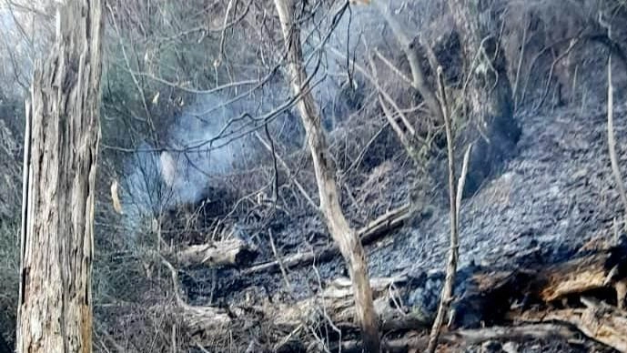 L’incendio si è allargato a una pinetina, più in alto del cimitero di Fibbialla
