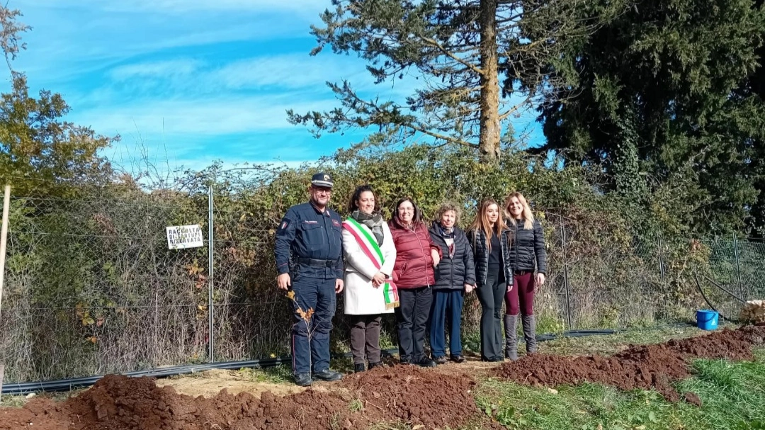 San Casciano dei Bagni, piantato l’Albero di Falcone alla scuola primaria San Casciano dei Bagni, piantato l’Albero di Falcone alla scuola primaria