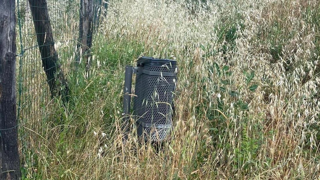 L’erba altissima ha ‘divorato’ l’area di sgambamento per cani e sta invadendo anche la ciclabile La consigliera di FdI chiede più manutenzione del verde L’erba altissima ha ‘divorato’ l’area di sgambamento per cani e sta invadendo anche la ciclabile La consigliera di FdI chiede più manutenzione del verde