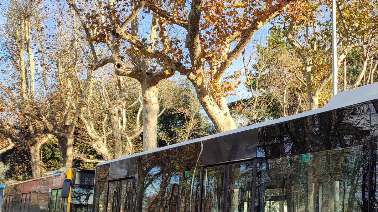 I sindacati denunciano la mancanza di aria condizionata sui bus di Carrara, mettendo in luce rischi per la salute di autisti e passeggeri. Richieste di intervento ignorate dall'azienda. I sindacati denunciano la mancanza di aria condizionata sui bus di Carrara, mettendo in luce rischi per la salute di autisti e passeggeri. Richieste di intervento ignorate dall'azienda.