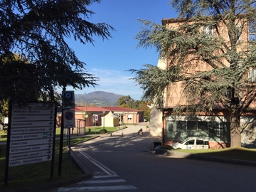 immagine articolo
