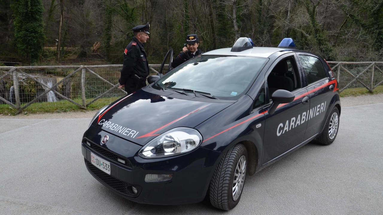 Il blitz messo a segno dai carabinieri