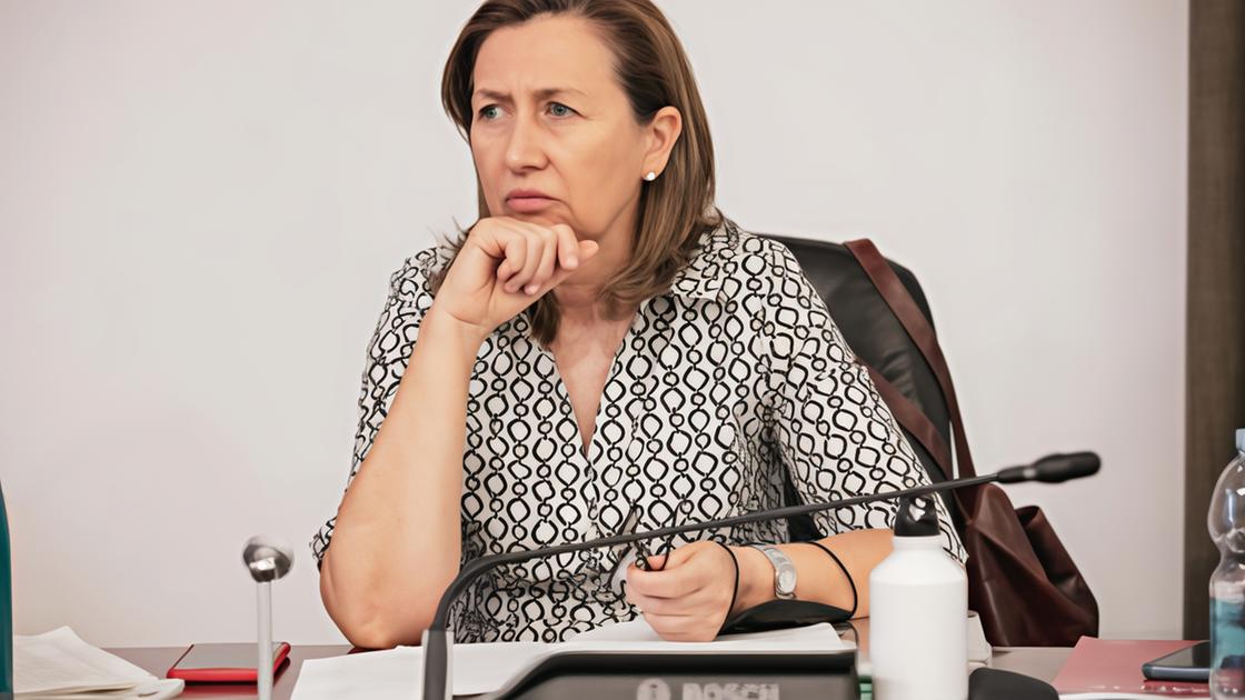 I problemi della Laguna: "Comitato, tempi lunghi" I problemi della Laguna: "Comitato, tempi lunghi"