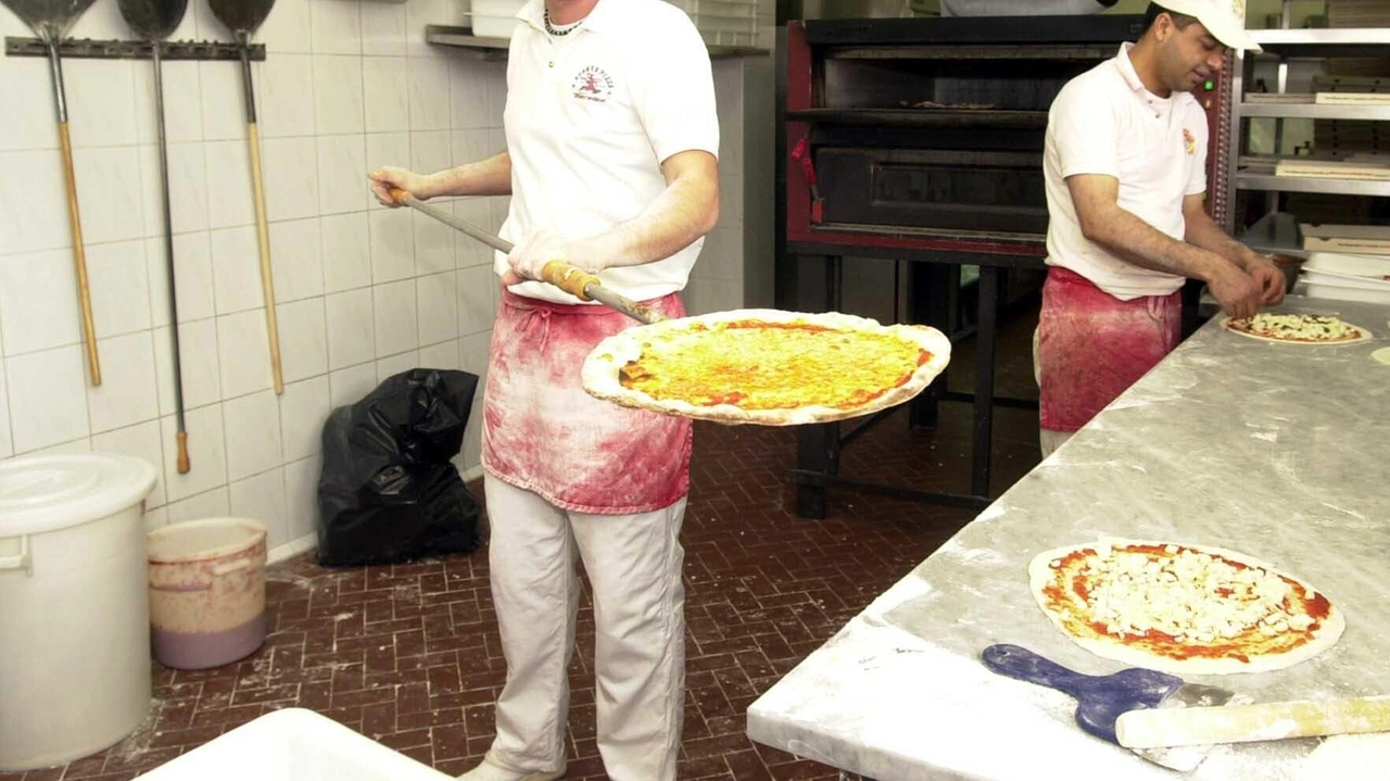 Proposte di lavoro dai Centri per l’impiego della provincia di Massa Carrara. Per info e candidature, https://lavoro.regione.toscana.it/ToscanaLavoro 1 FORNAIO PANIFICATORE... Proposte di lavoro dai Centri per l’impiego della provincia di Massa Carrara. Per info e candidature, https://lavoro.regione.toscana.it/ToscanaLavoro 1 FORNAIO PANIFICATORE...