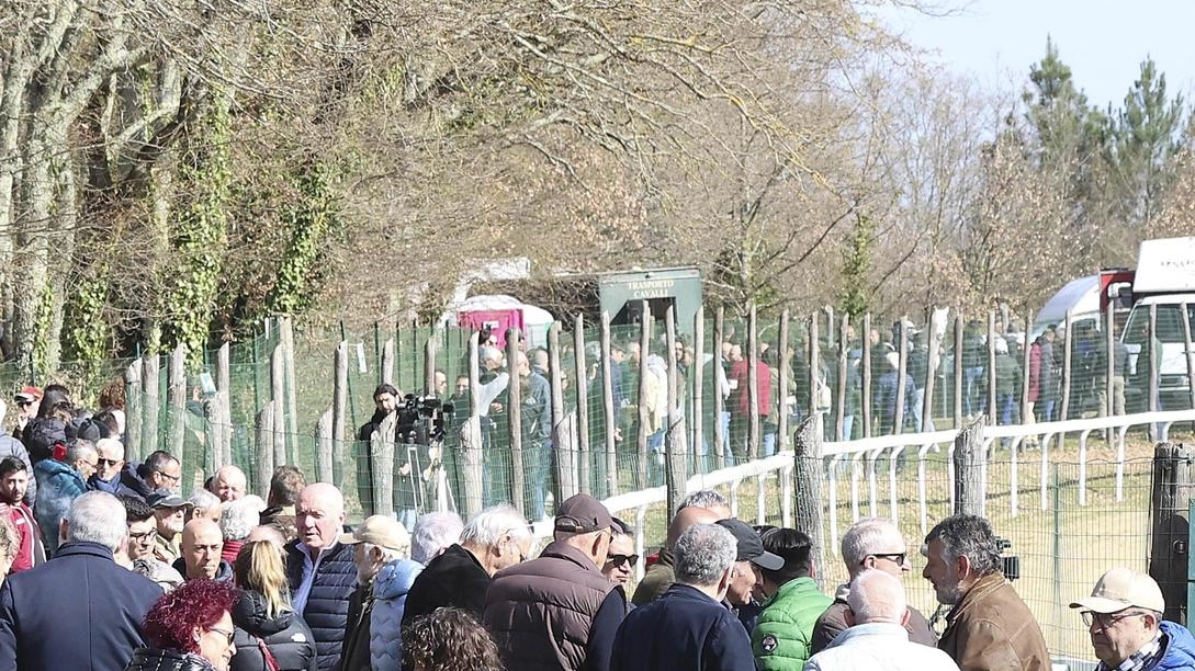 C’è sempre una gran folla a Monticiano ma la pioggia ha imposto l’annullamento