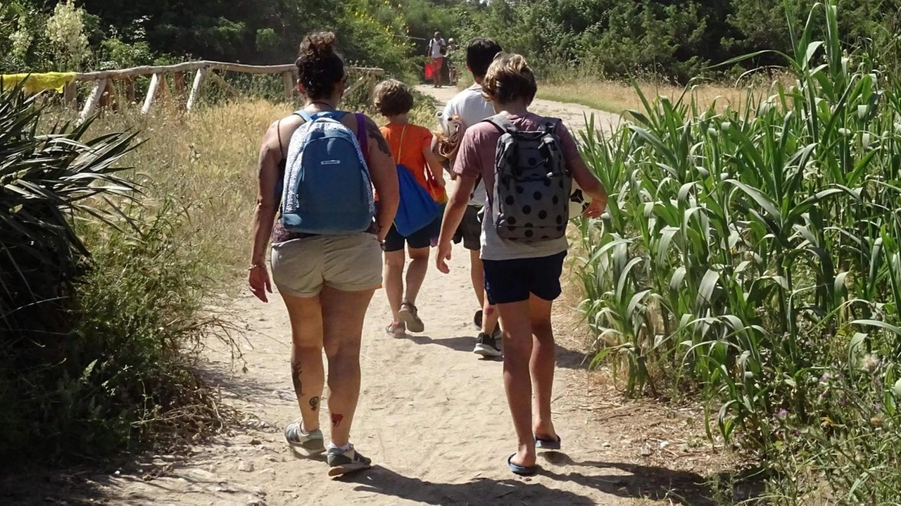 Il sentiero dove lo scorso 12 agosto è avvenuta l’aggressione. Nell’altra foto la Squadra Mobile di Pisa che ha eseguito l’arresto Il sentiero dove lo scorso 12 agosto è avvenuta l’aggressione. Nell’altra foto la Squadra Mobile di Pisa che ha eseguito l’arresto