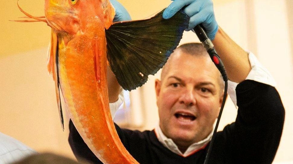 L’iniziativa nel nuovo supermarket Conad di Castiglione della Pescaia L’iniziativa nel nuovo supermarket Conad di Castiglione della Pescaia