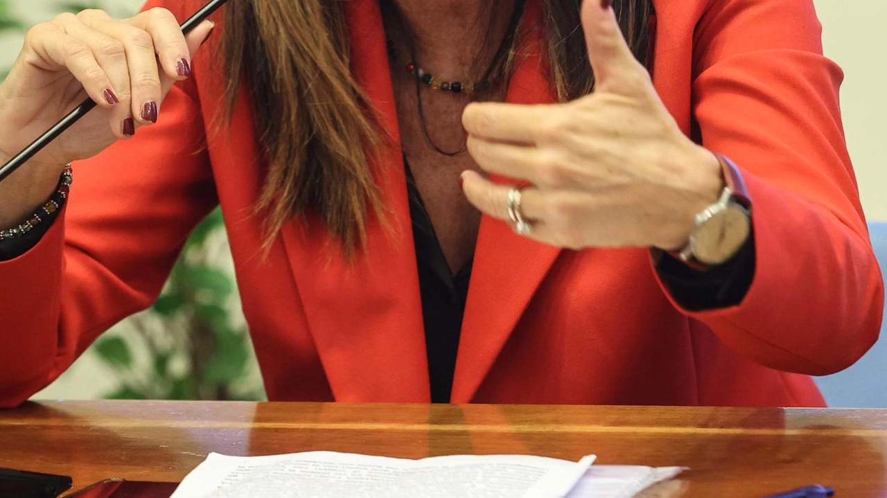 L’assessore alla Cultura ricorda di aver offerto al comitato gratis il ’Garibaldi’
