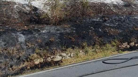 Immediato l’intervento dei soccorritori, che ha permesso di domare le fiamme. L’innesco ha preso il via a bordo strada: "Potrebbe essere stata una sigaretta".