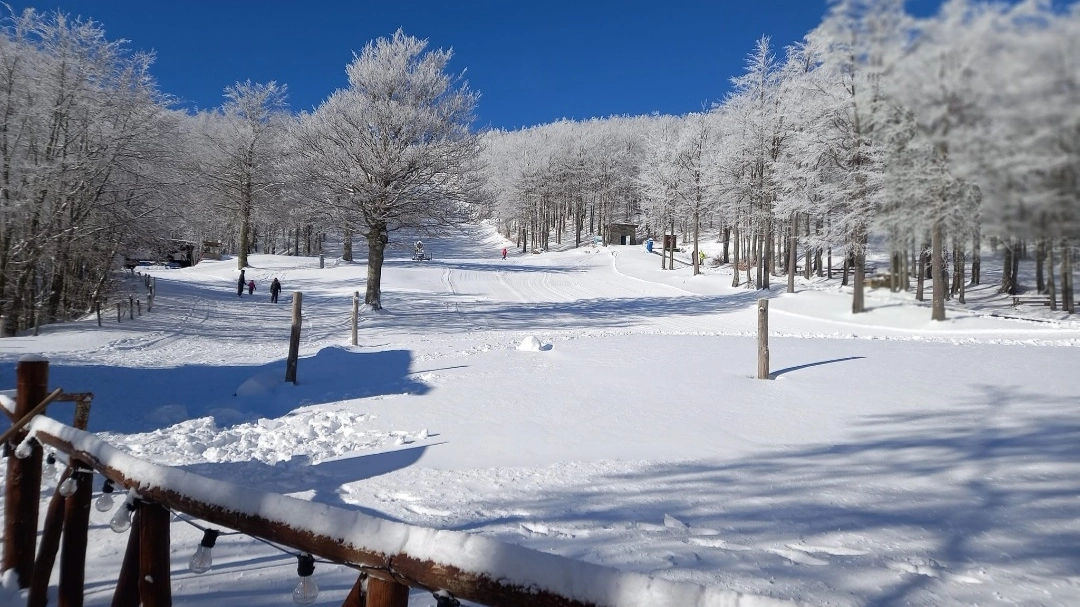 Piste da sci Piste da sci