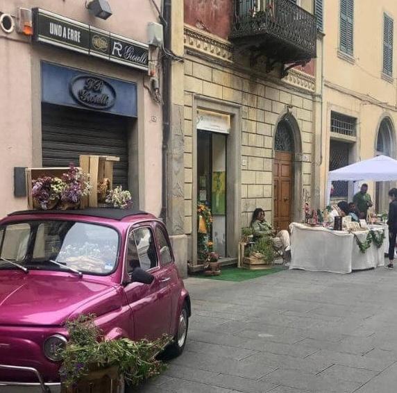 https://www.lanazione.it/image-service/view/acePublic/alias/contentid/Zjc5NjBhOGYtOTM1NS00/0/festa-di-profumi-e-colori-il-cuore-della-citta-si-anima-con-fiori-in-citta.jpeg
