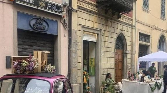 Fiori, profumi e colori per rendere ancora più bello e accogliente il centro storico di Città di Castello Fiori, profumi e colori per rendere ancora più bello e accogliente il centro storico di Città di Castello