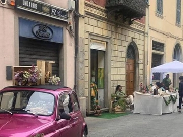 immagine articolo