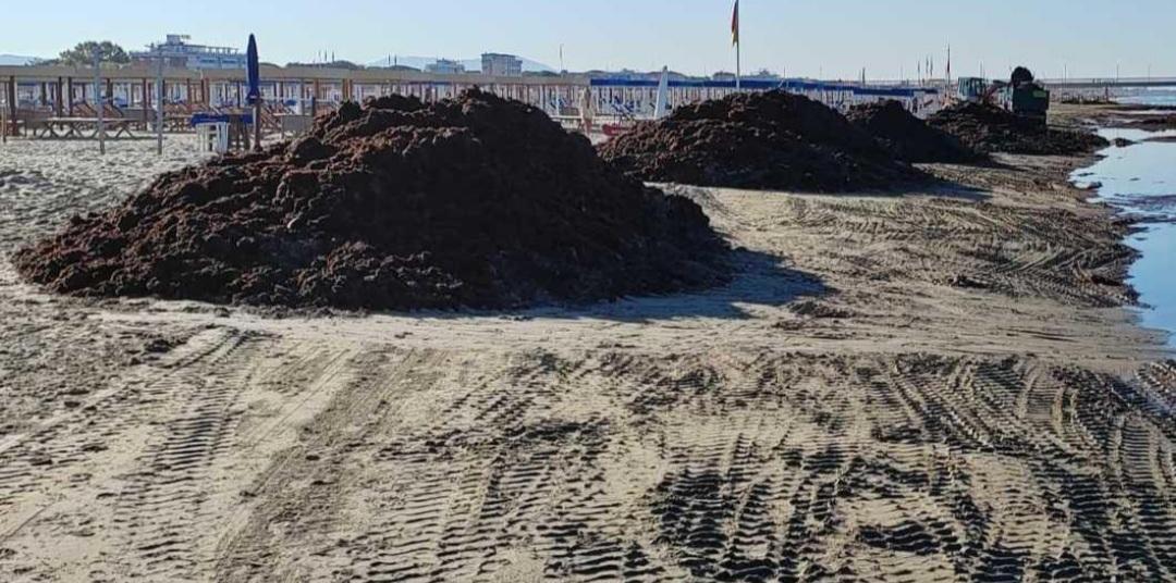 Viareggio, rimosso il lavarone dopo la mareggiata Viareggio, rimosso il lavarone dopo la mareggiata