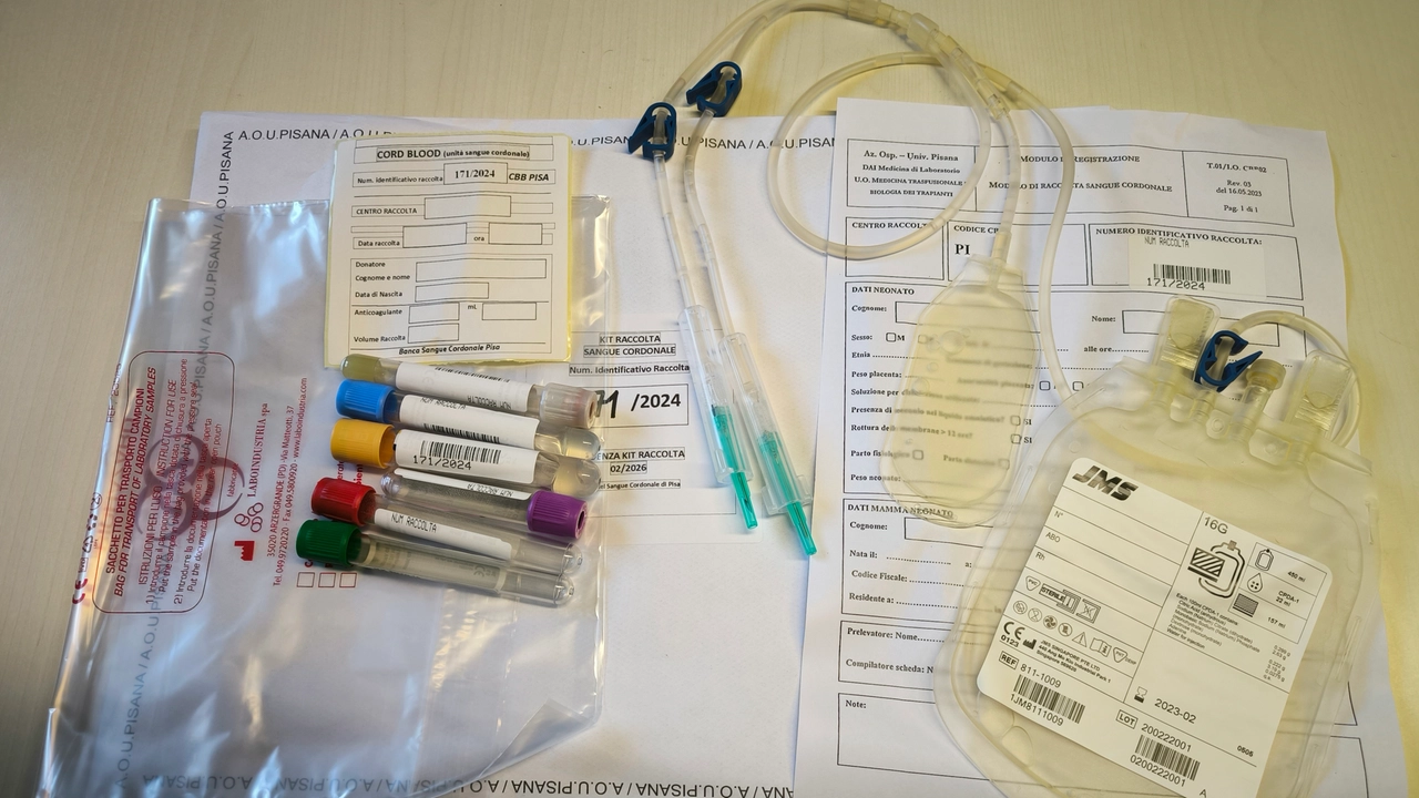 Sangue cordonale Sangue cordonale