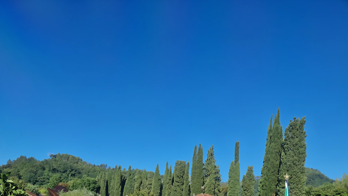 La commemorazione si è svolta con il rituale consolidato dell’inizio dal cimitero di Gallicano, dove si trova la tomba del comandante del Leandro Puccetti, detto Pippo La commemorazione si è svolta con il rituale consolidato dell’inizio dal cimitero di Gallicano, dove si trova la tomba del comandante del Leandro Puccetti, detto Pippo