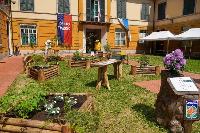 immagine di sfondo 6