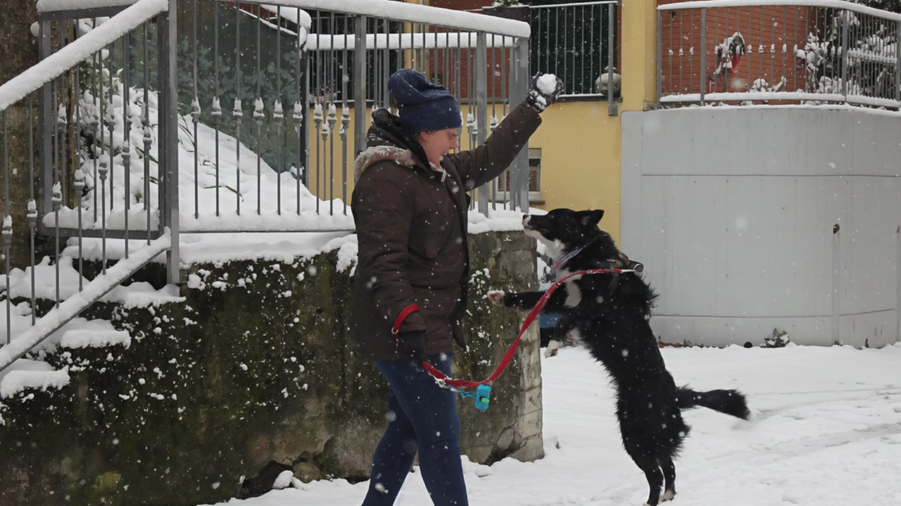 In edicola l’ultimo libro della scrittrice spezzina Daneri. E il cane Argo torna a fare capolino .
