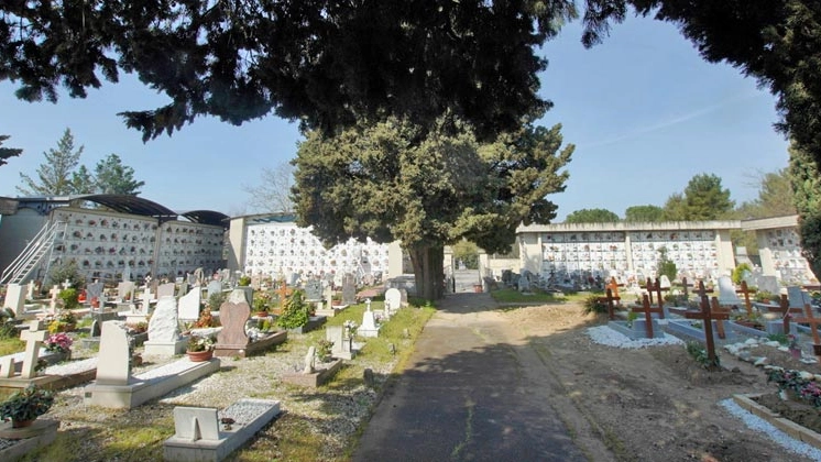 il cimitero di Tavola il cimitero di Tavola