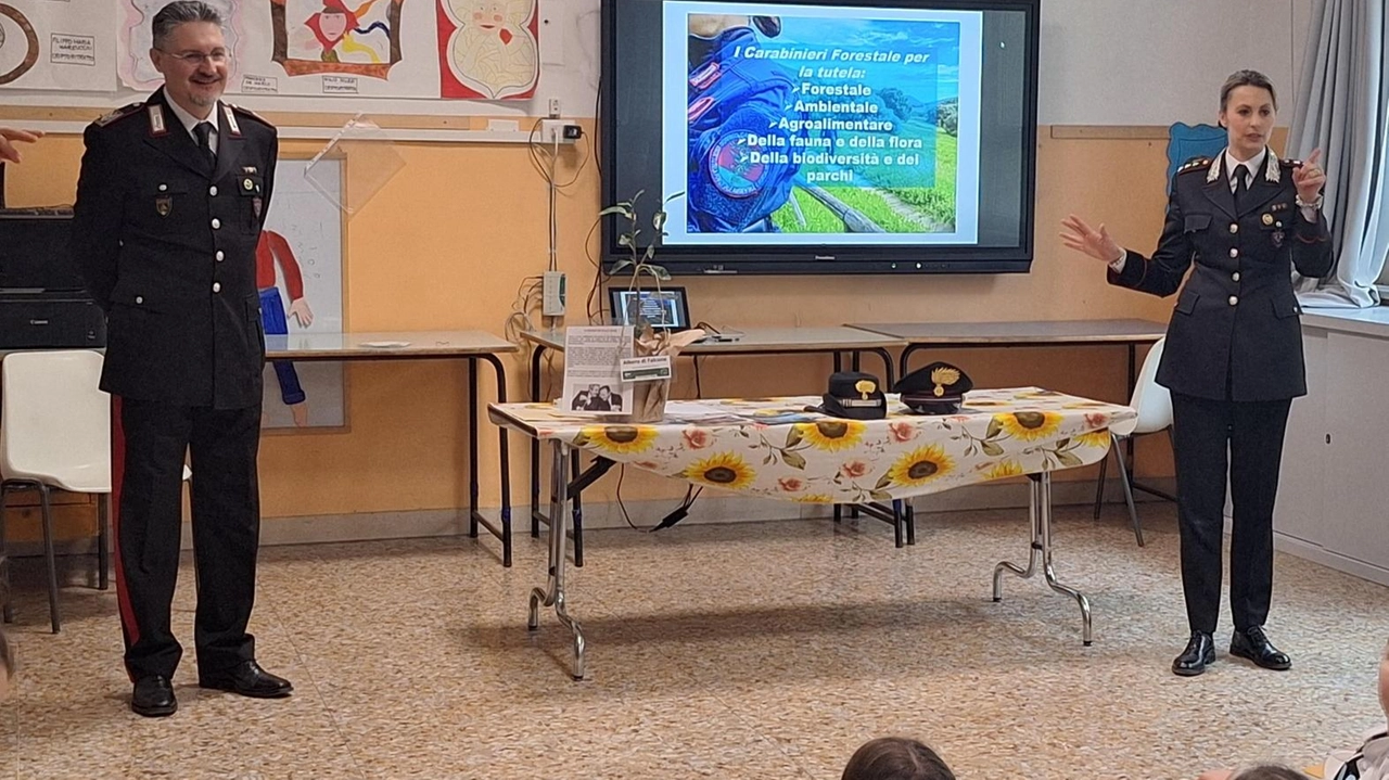 Per parlare di foreste, in occasione della giornata mondiale, i Carabinieri Forestali del Reparto Carabinieri Biodiversità di Siena, al...