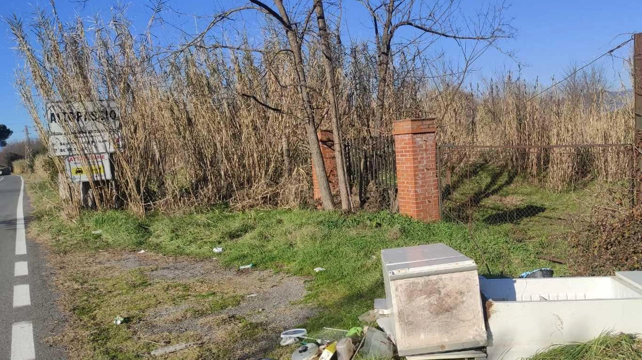 Via dei Sandroni, zona industriale. I cittadini segnalano una fila di rifiuti di vario genere sulla curva dell’ex colorificio ceramico... Via dei Sandroni, zona industriale. I cittadini segnalano una fila di rifiuti di vario genere sulla curva dell’ex colorificio ceramico...