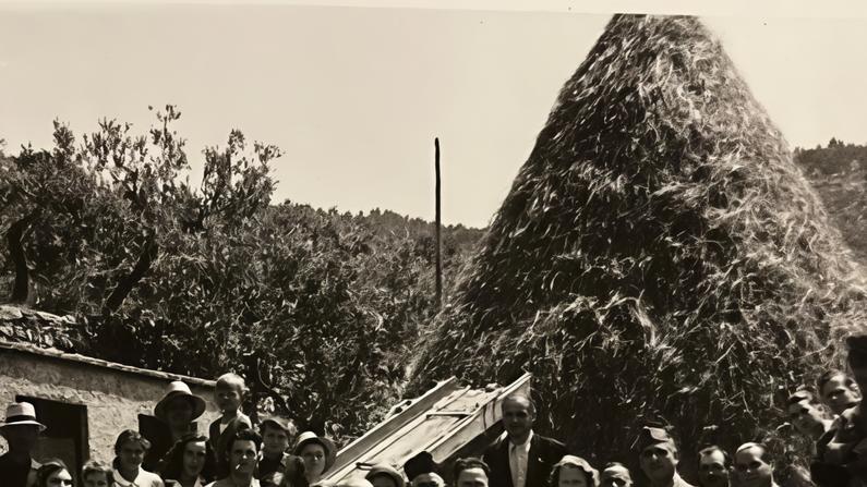 Filettole, un paradiso. Insidiato dai ladri. Sciupato dall’inciviltà Filettole, un paradiso. Insidiato dai ladri. Sciupato dall’inciviltà