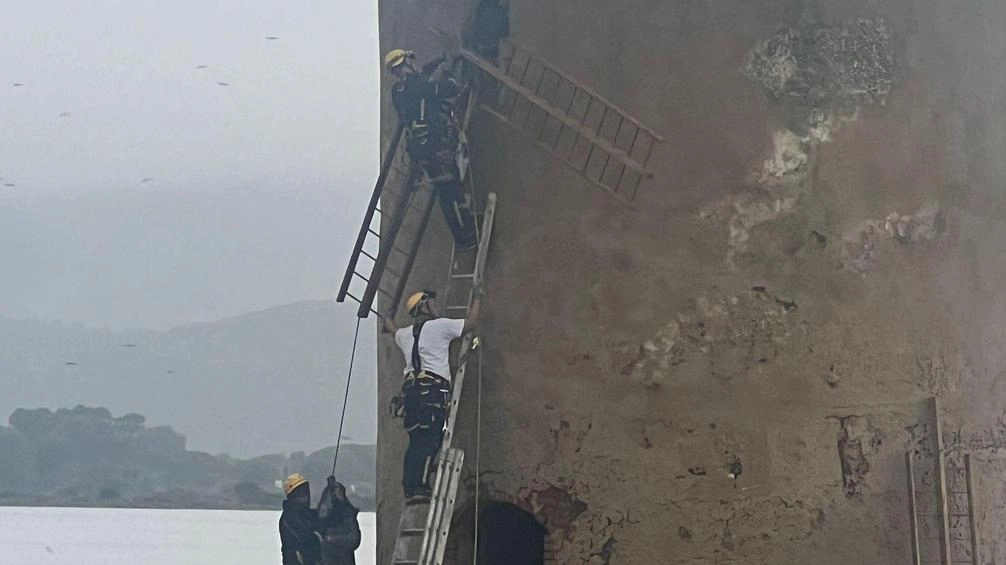 Il mulino spagnolo di Orbetello ha le pale nuove: completato il montaggio nonostante il maltempo. Lungo percorso burocratico e lavorativo per il successo dell'intervento. Il mulino spagnolo di Orbetello ha le pale nuove: completato il montaggio nonostante il maltempo. Lungo percorso burocratico e lavorativo per il successo dell'intervento.