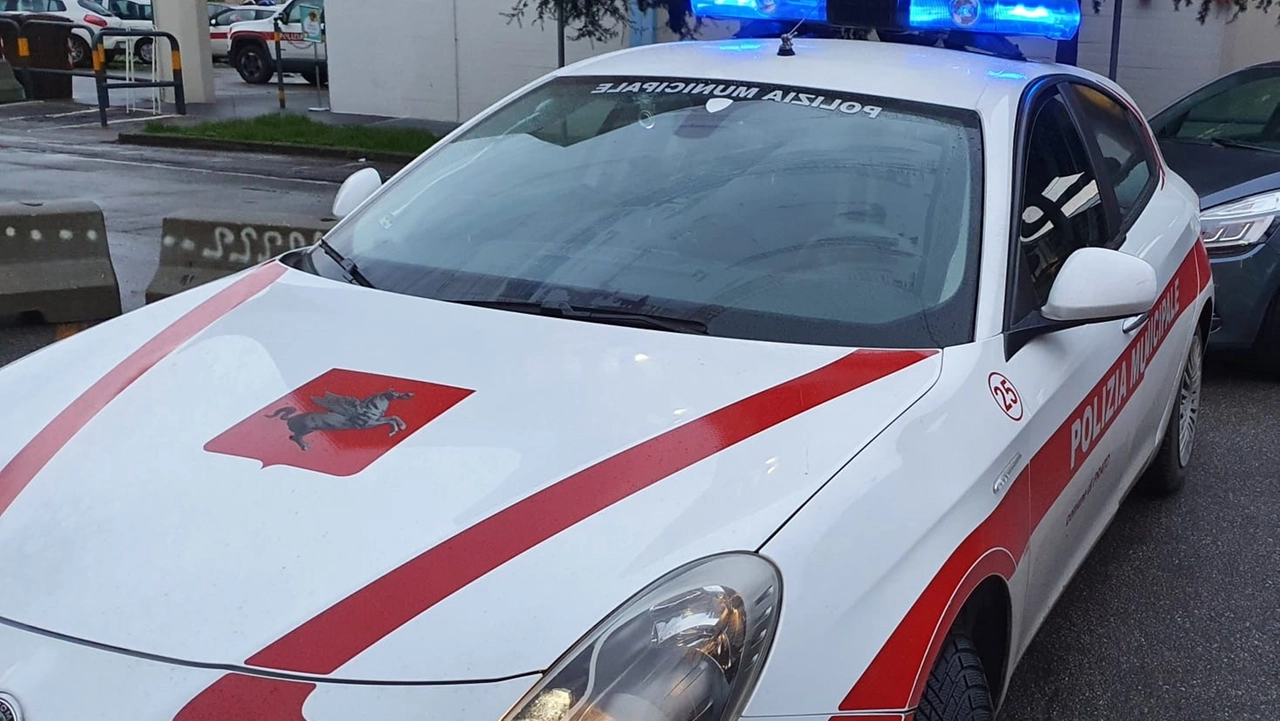 Operazione della polizia municipale (Foto d'archivio) Operazione della polizia municipale (Foto d'archivio)