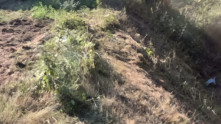 Escavatori al lavoro nel territorio comunale di Corciano per la manutenzione dei fossi Escavatori al lavoro nel territorio comunale di Corciano per la manutenzione dei fossi