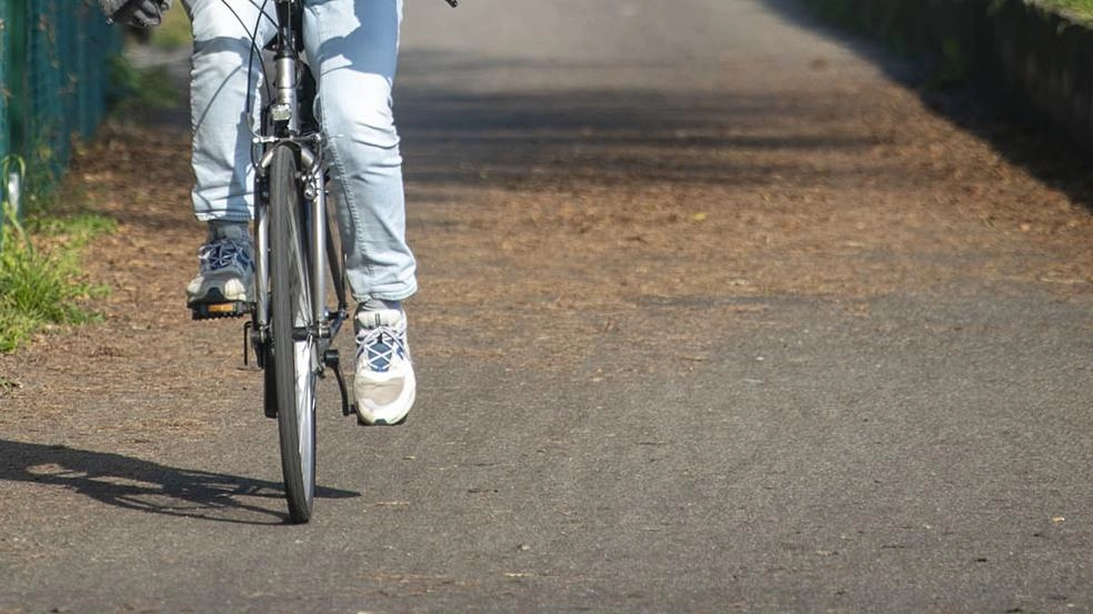 I tasselli del progetto: realizzare percorsi in sede propria o su sentiero. Garantire l’intermodalità per incentivare l’uso della bici negli spostamenti. Infine far calare il numero degli incidenti che si verificano ogni anno . I tasselli del progetto: realizzare percorsi in sede propria o su sentiero. Garantire l’intermodalità per incentivare l’uso della bici negli spostamenti. Infine far calare il numero degli incidenti che si verificano ogni anno .